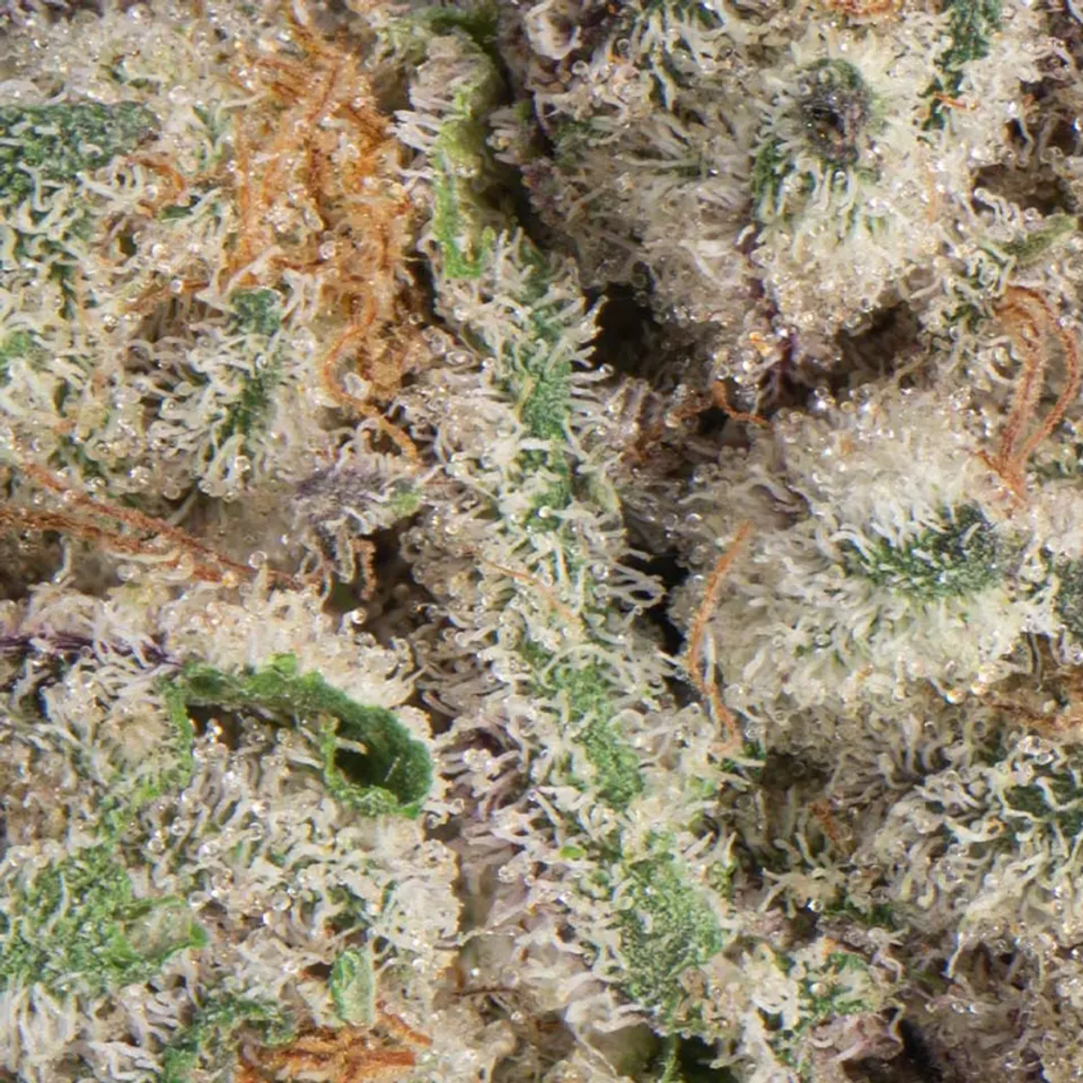 710 Labs- Cake Crasher - Hybrid 3.5g