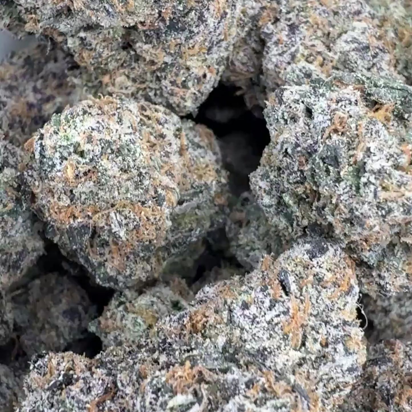 Black Gelato Runtz - Indica (Exotic) 3.5g