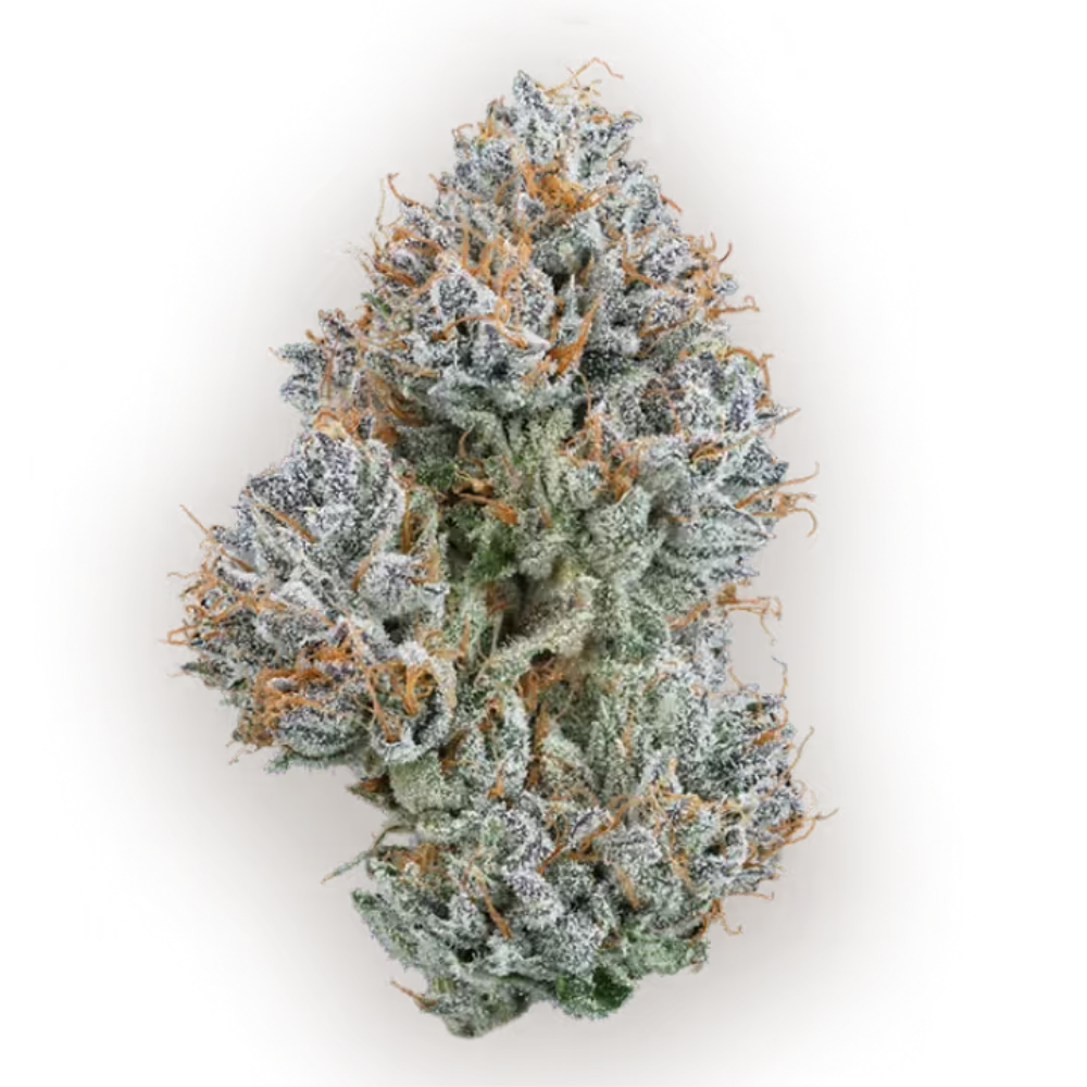 CBX - Kush Mountains - Hybrid 3.5g