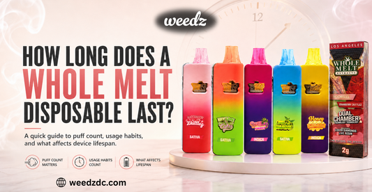How Long Does a Whole Melt Disposable Last?