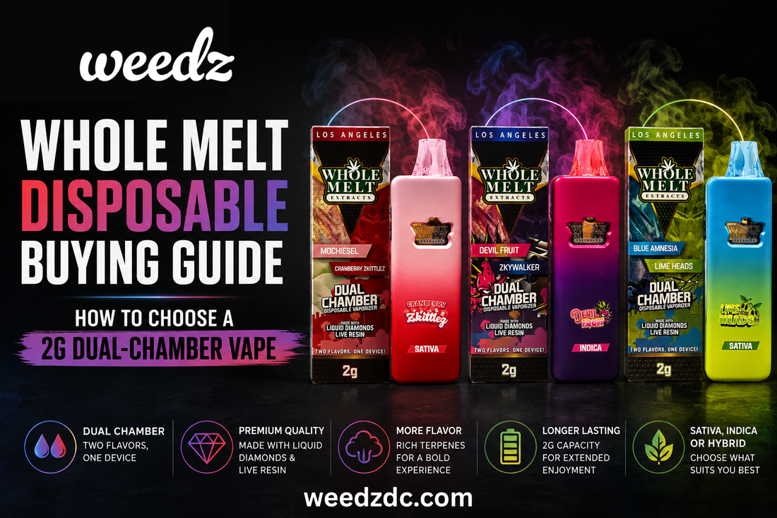 Whole Melt Disposable Buying Guide: How to Choose a 2G Dual-Chamber Vape