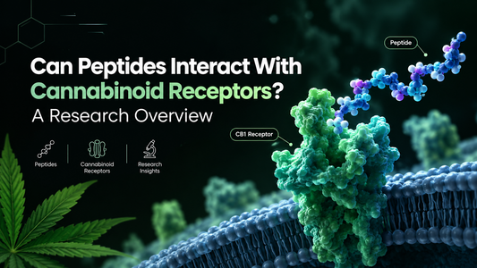 Can Peptides Interact With Cannabinoid Receptors? A Research Overview