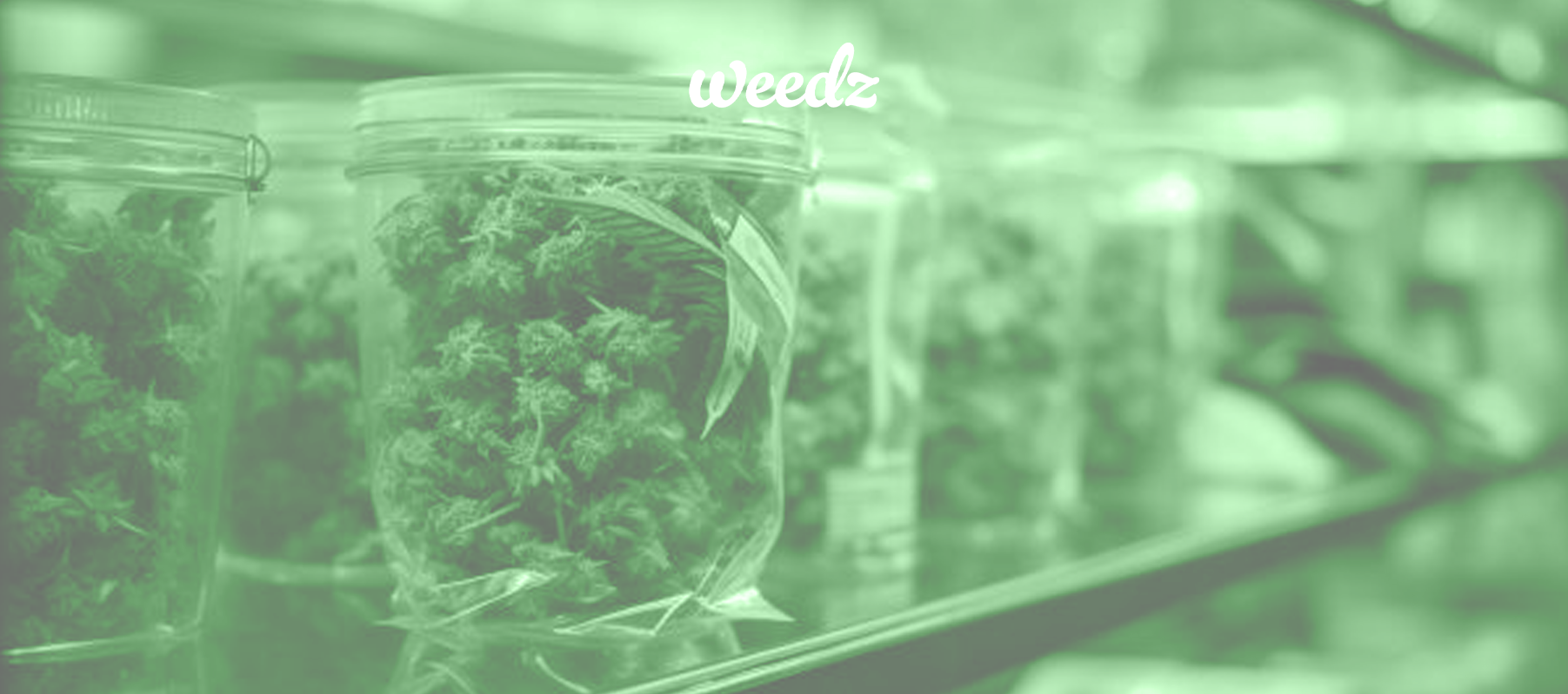 Top 5 Benefits of Same-Day Weed Delivery in Washington DC, Maryland, and Virginia.