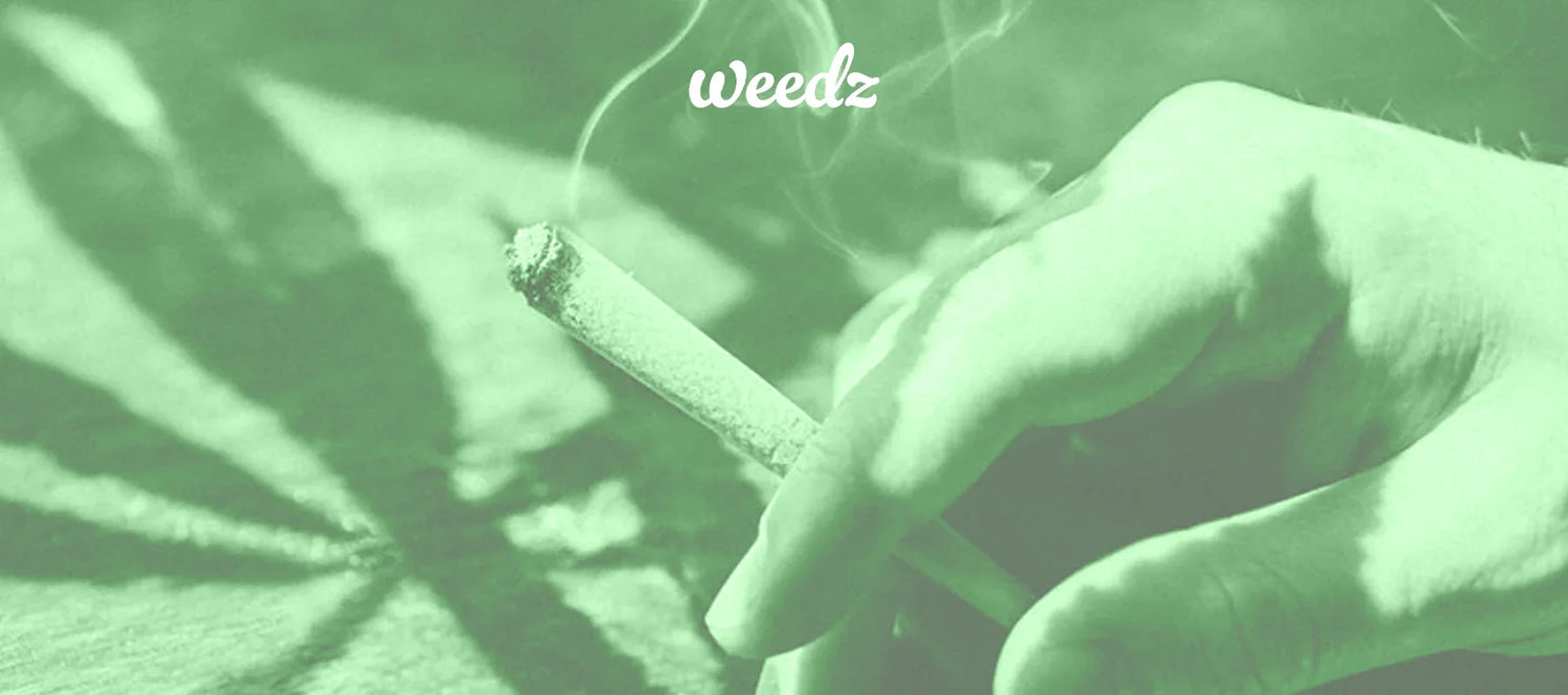 Cannabis for Sleep: Best Strains and Products for a Restful Night in Washington DC, Maryland, and Virginia - Weedz DC