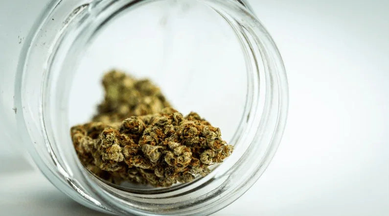 How many grams is an ounce of weed? Unveiling the Enigma - Weedz DC