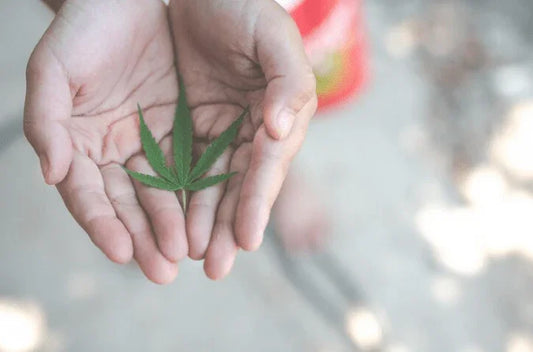 How to Not Look High: 13 Best Tips - A Guide to Maintain a Sober Appearance - Weedz DC