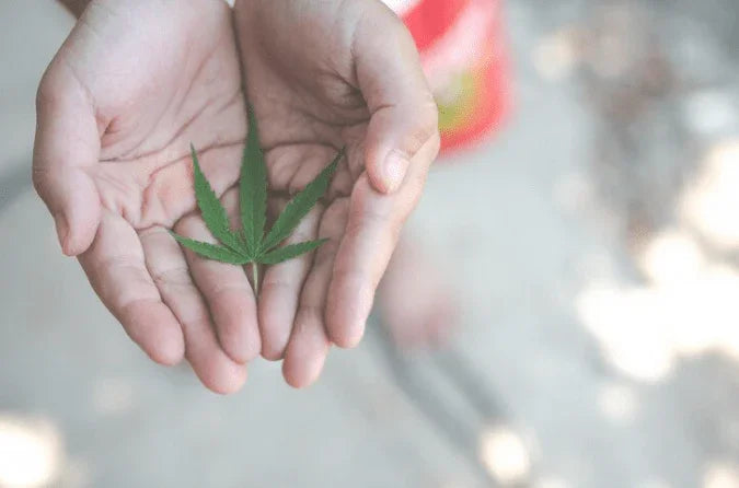 How to Not Look High: 13 Best Tips - A Guide to Maintain a Sober Appearance - Weedz DC