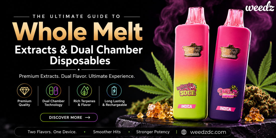 What Is Whole Melt? Everything You Need to Know About Whole Melt Extracts and Dual Chamber Disposables