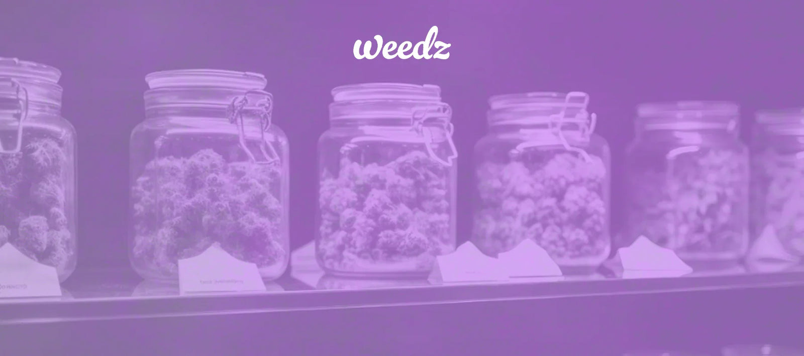 New Cannabis products and changes on the industry - Weedz DC