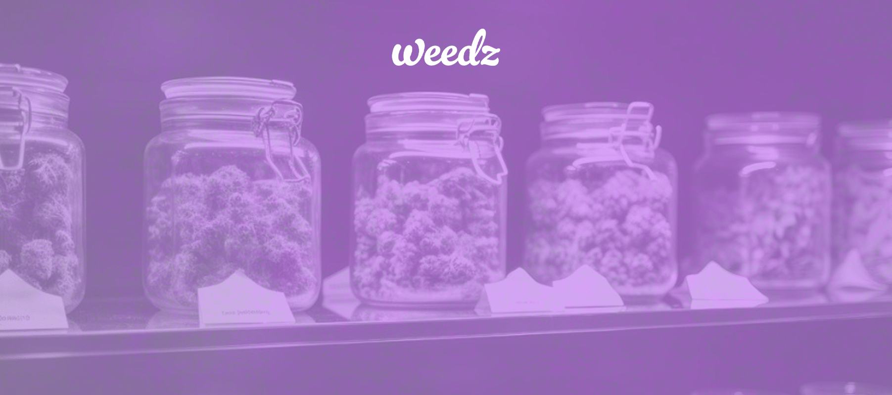 New Cannabis products and changes on the industry - Weedz DC