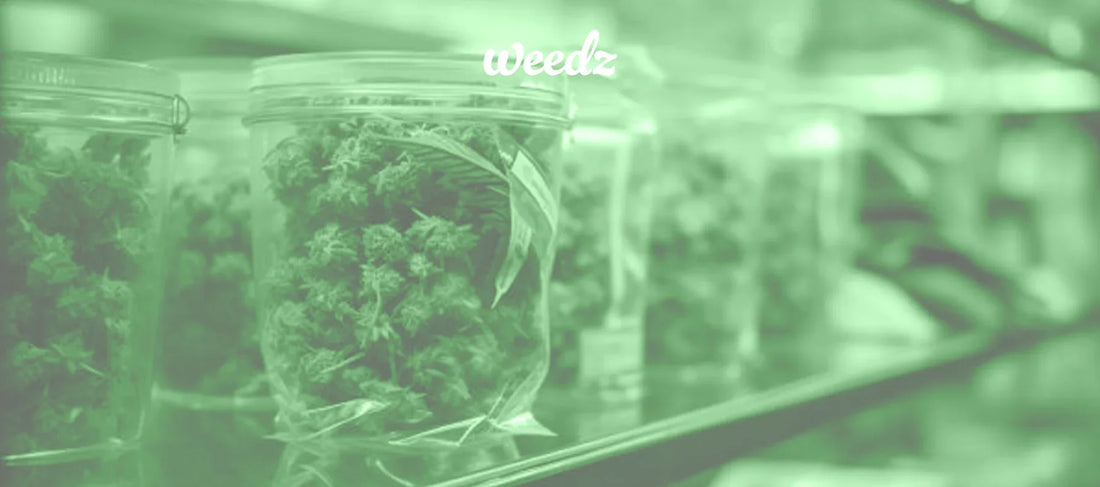 One Strain for one’s needs. What are the best cannabis variations? - Weedz DC