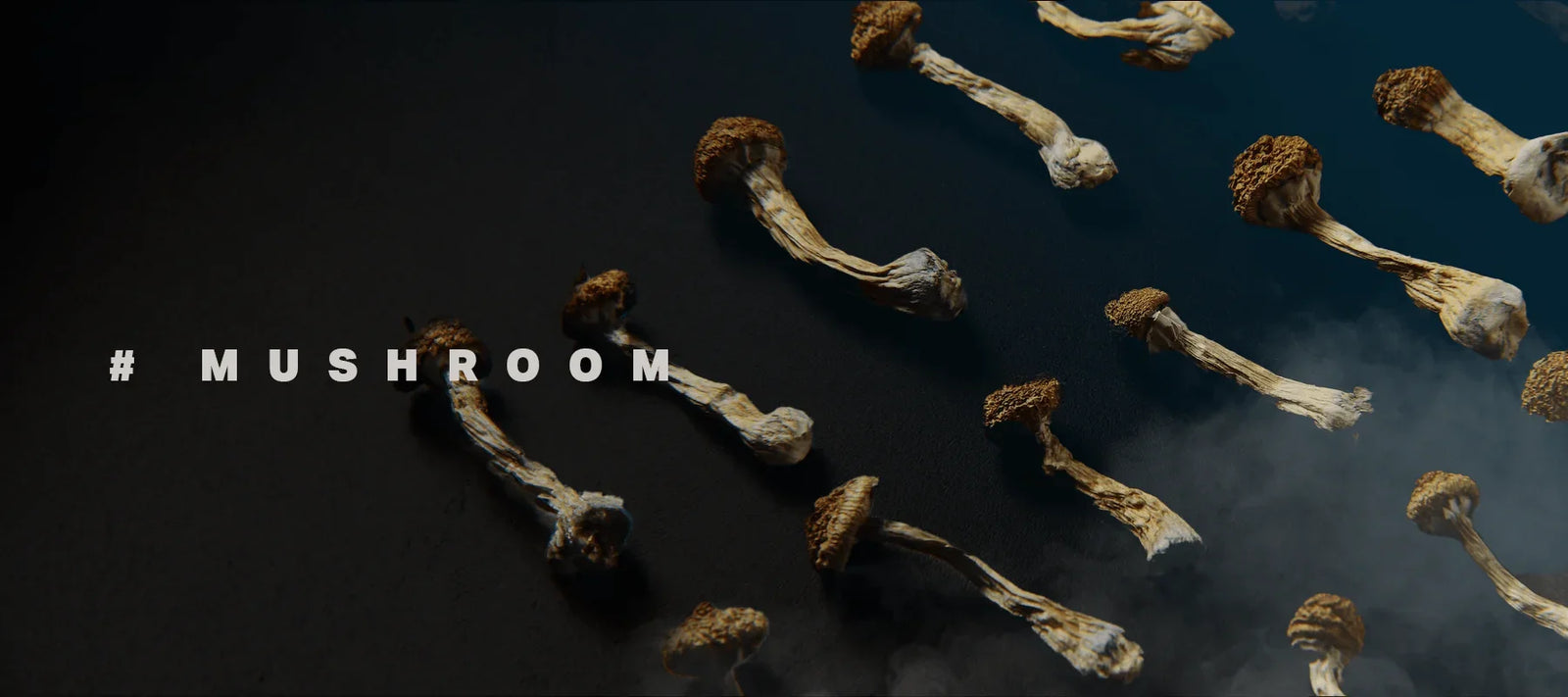 Mushrooms - Weedz DC