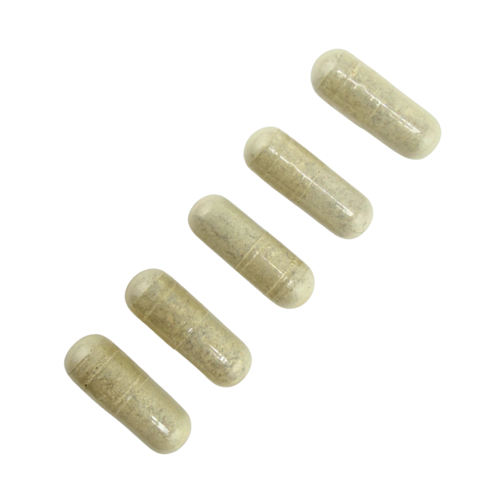Enigma Mushroom Capsules 1g