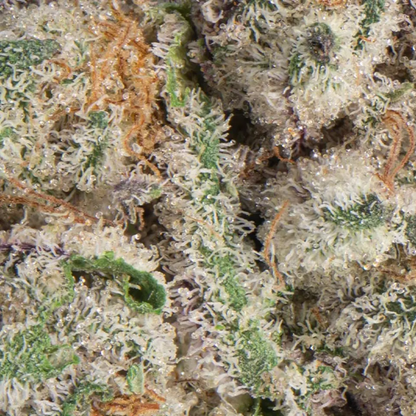 710 Labs- Cake Crasher - Hybrid 3.5g