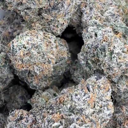 Black Gelato Runtz  - Indica (Exotic) 3.5g