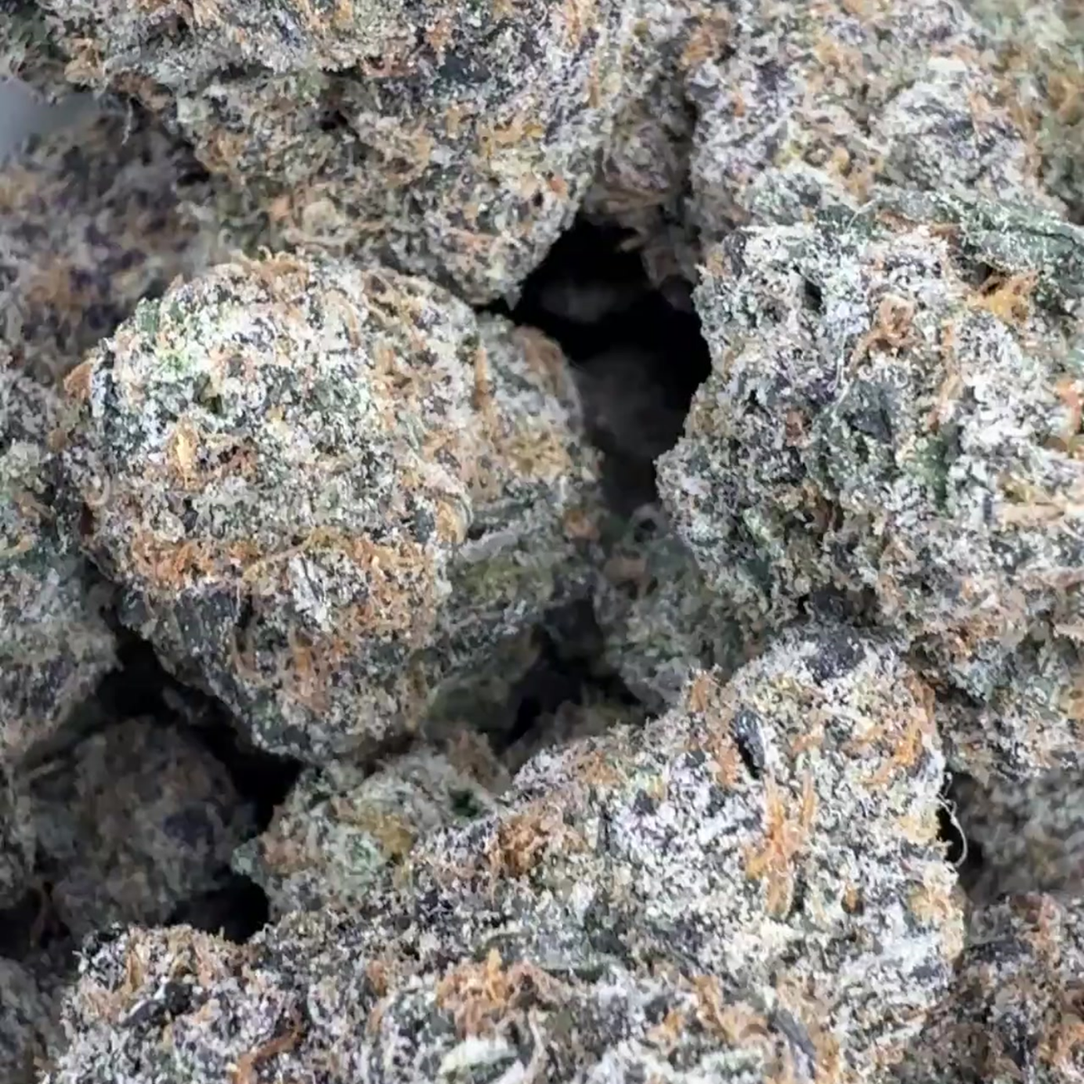 Black Gelato Runtz  - Indica (Exotic) 3.5g