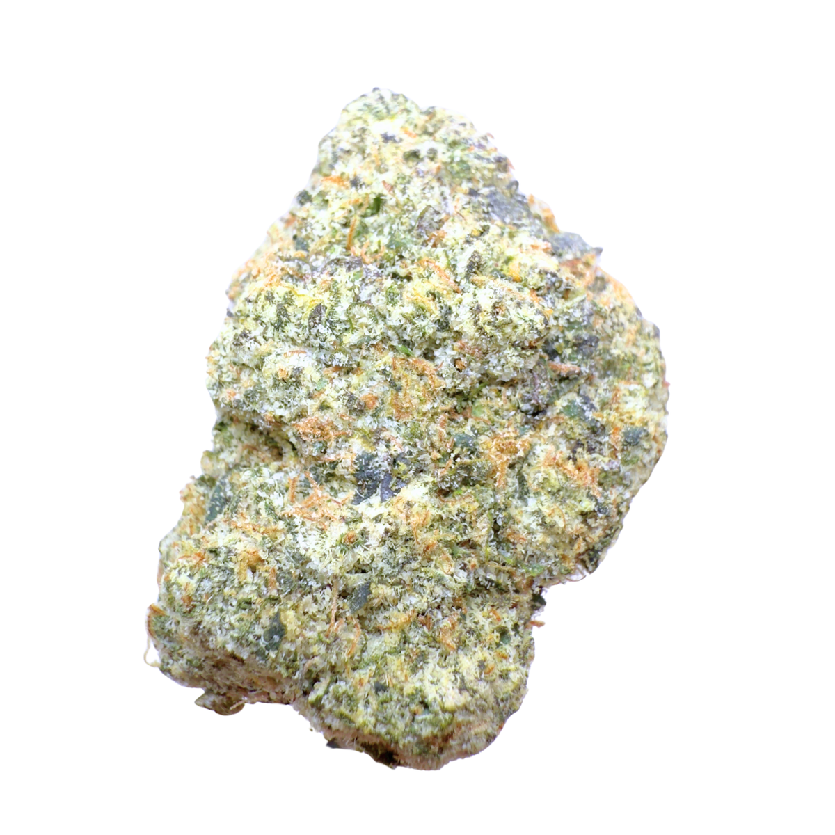 Black Truffle - Hybrid (Exotic) 3.5g