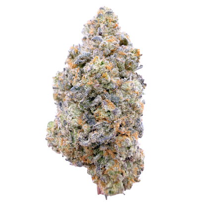 Black Truffle - Hybrid (Exotic) 3.5g