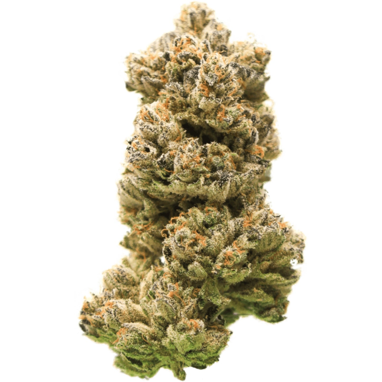CBX - Bluebert - Indica 3.5g