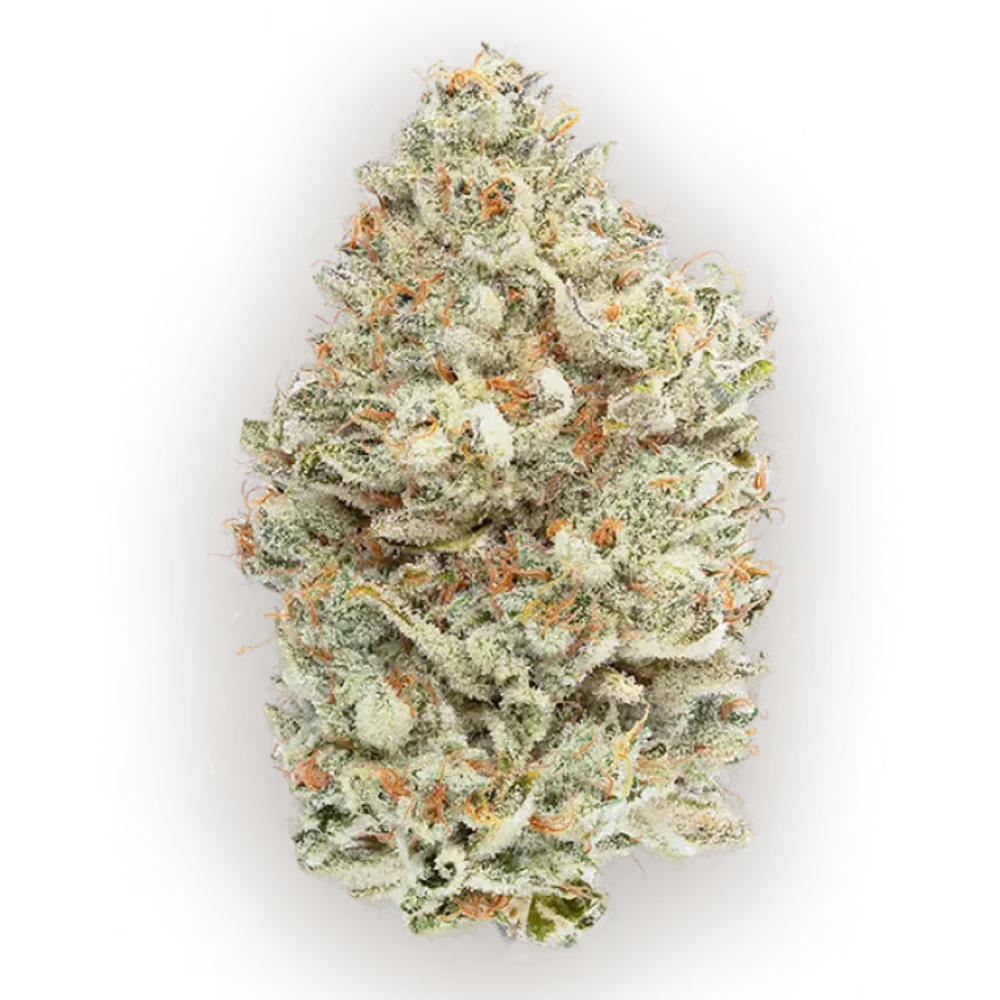 CBX - Cereal Milk - Hybrid 3.5g