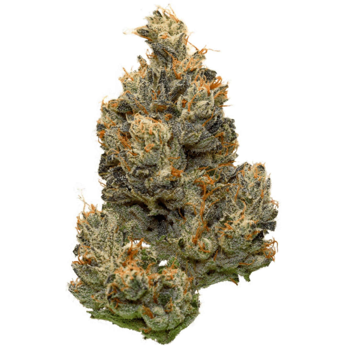 CBX - Funk Master - Indica 3.5g