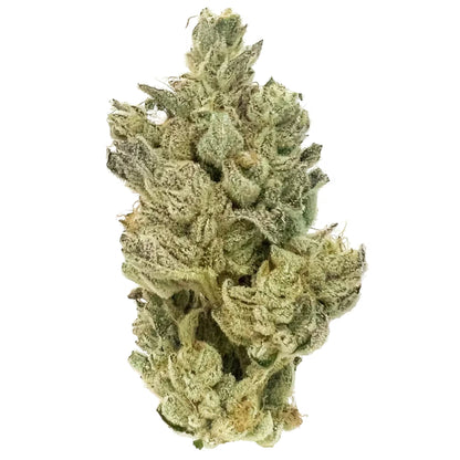 CBX - Gluetopia - Hybrid 3.5g