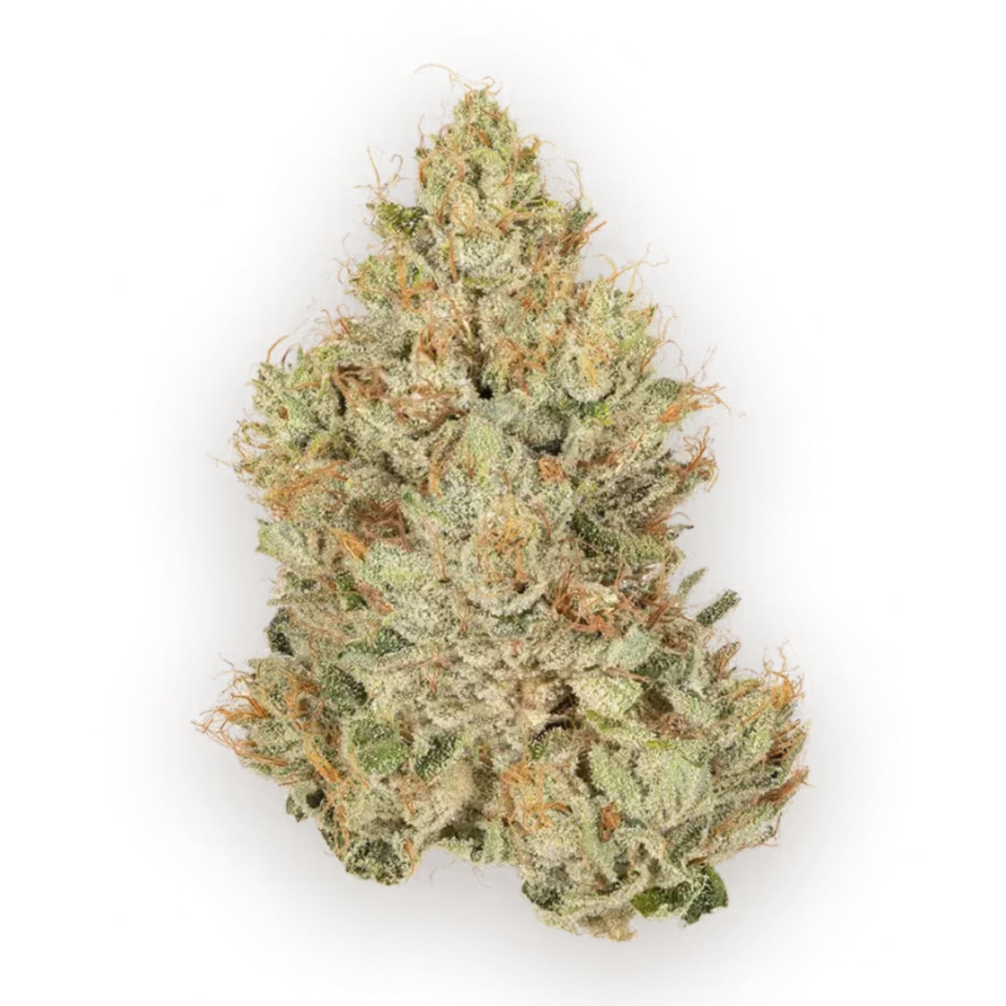 CBX - Red Eye OG - Indica 3.5g