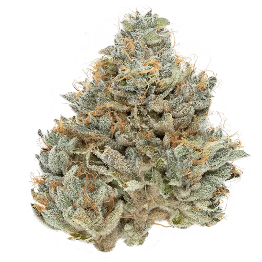 CBX - Casino Kush - Sativa 3.5g