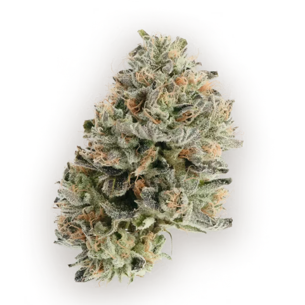 CBX - Grape Gasby - Indica 3.5g