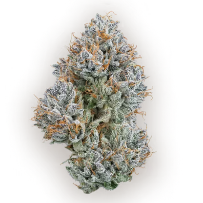 CBX - Kush Mountains - Hybrid 3.5g
