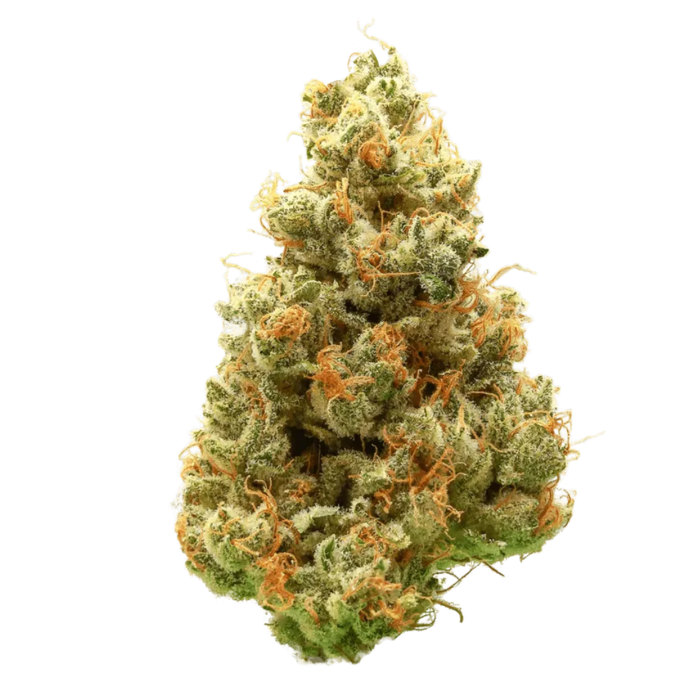 CBX - Super Mango Haze - Sativa 3.5g