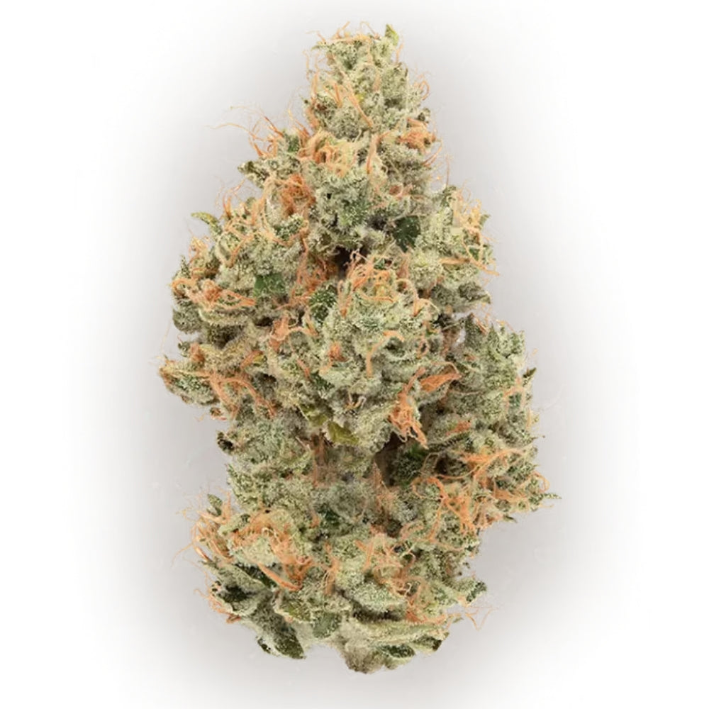 CBX - Tropicanna - Sativa 3.5g