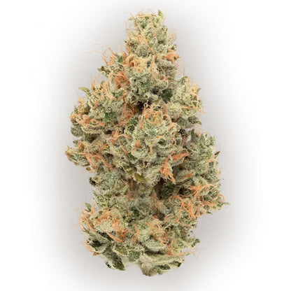 CBX - Tropicanna - Sativa 3.5g