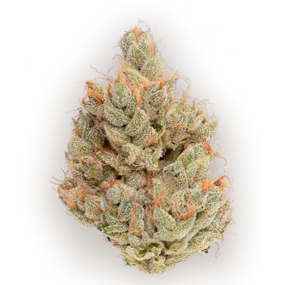 CBX - White Walker OG - Sativa 3.5g