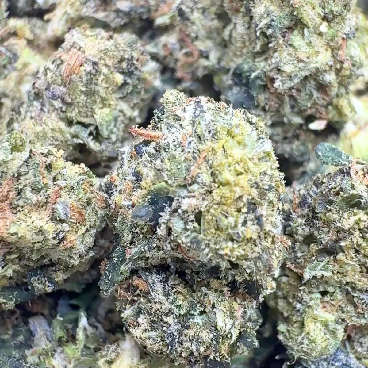 Exotic Micros 3.5g