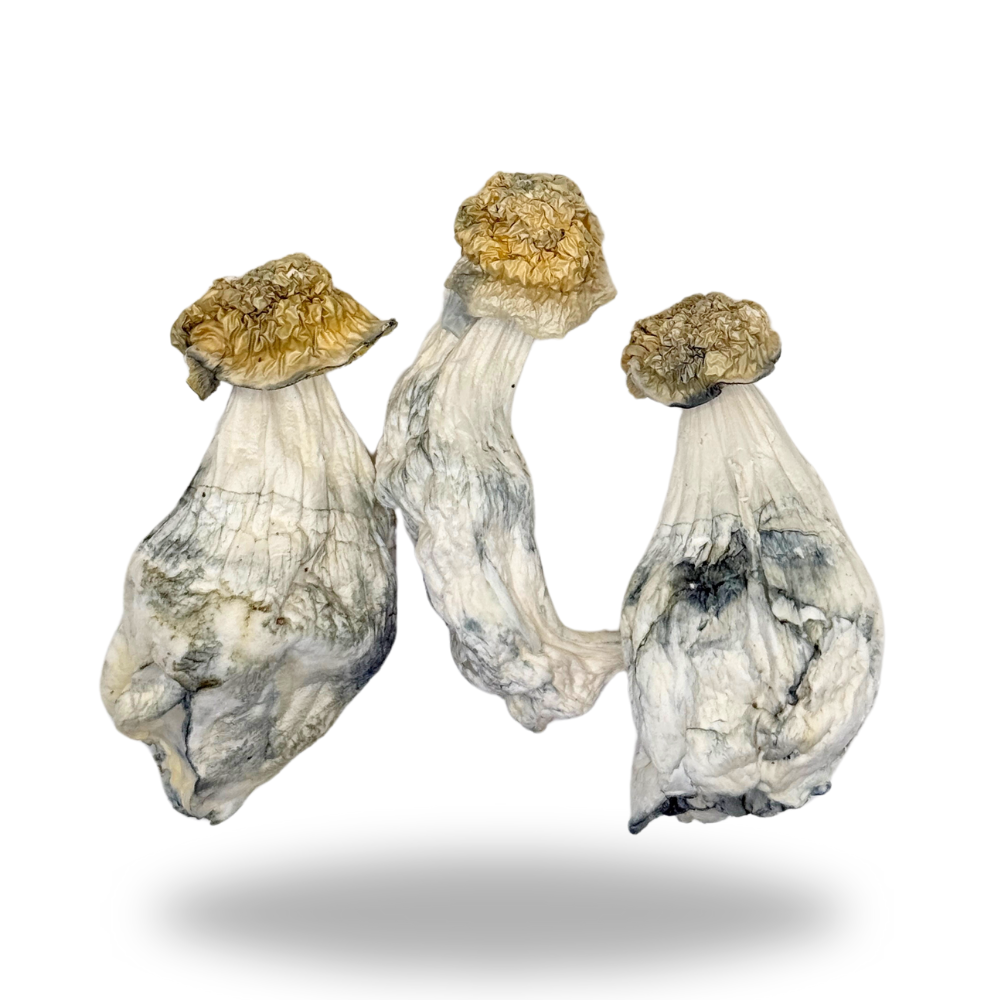 Ghost Mushrooms 3.5g