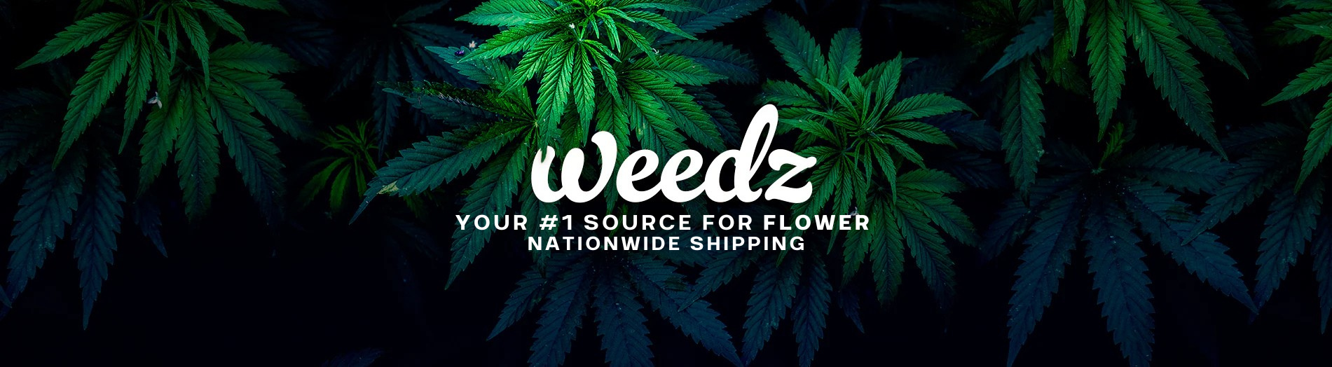 Weedz DC
