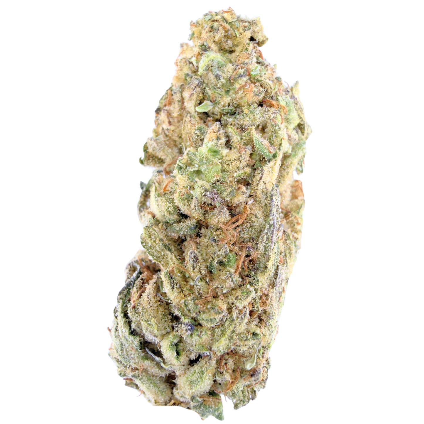 Purple Nightshade - Indica 3.5g