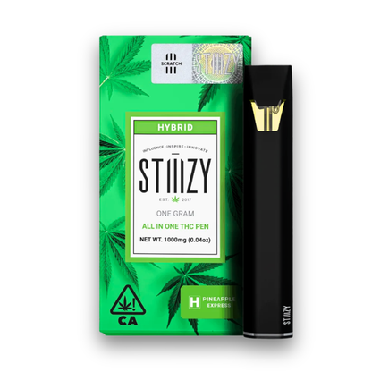 STIIIZY All in One Disposable 1G