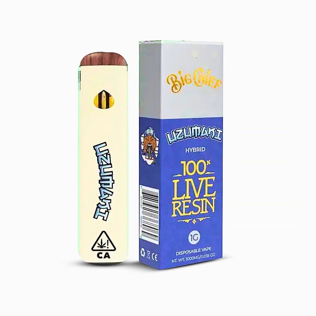 Big Chief Disposable 1G – Weedz DC