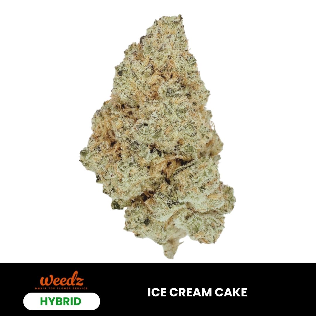 Ice Cream Cake - Hybrid 3.5g