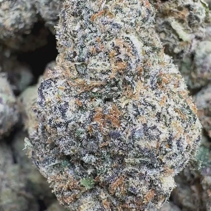 Hawaiian Snow - Sativa (Exotic) 3.5g