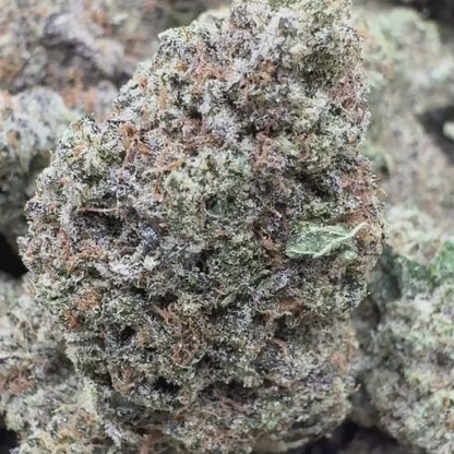 Trainwreck - Hybrid 3.5g