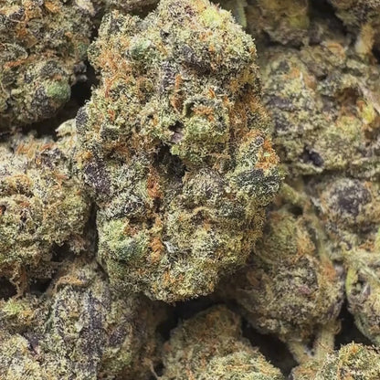 Honey Glaze - Hybrid 3.5g