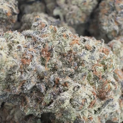 Lime Vines - Sativa 3.5g