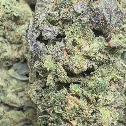 Gelato 33 - Hybrid 3.5g