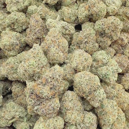 Blue Zushi - Hybrid 3.5g