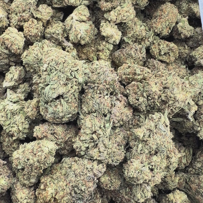 Orange Sherb - Hybrid 3.5g