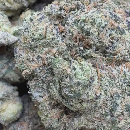 Gascream - Indica (Exotic) 3.5g