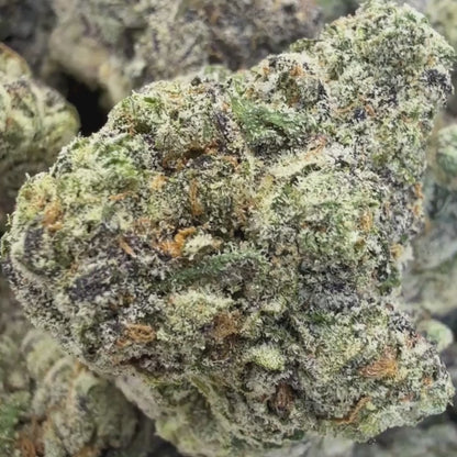 Biscotti Pie - Hybrid 3.5g